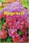 Bugenvil