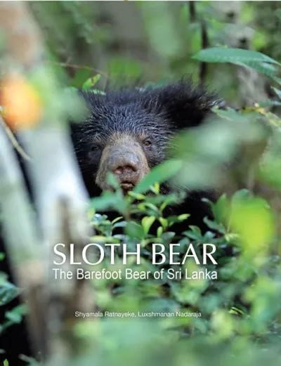 Sloth Bear: The Barefoot Bear of Sri Lanka