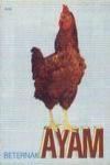 Beternak Ayam