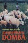 Memelihara Domba
