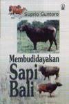 Membudidayakan Sapi Bali